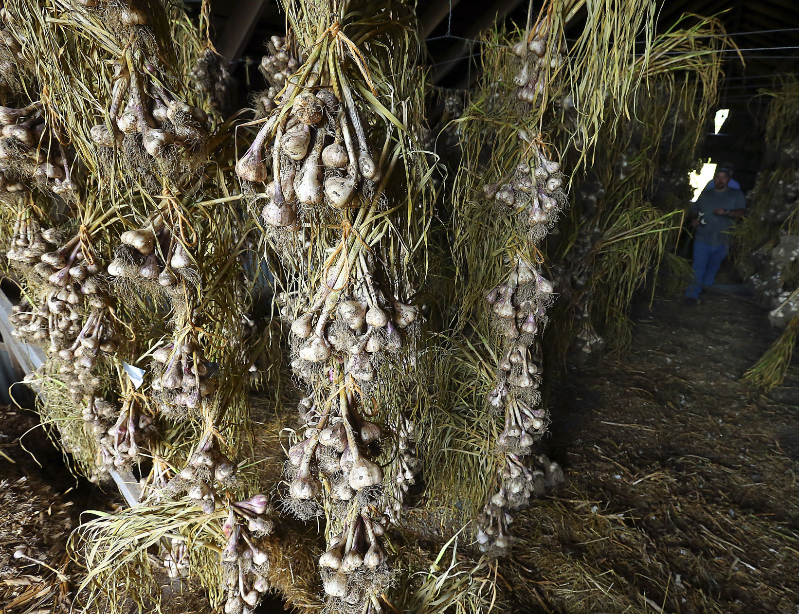 Tamarack Garlic Farm in Trempealeau County has strong year